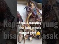 Download Lagu ikan asap kepala manyung#SHORTS#Viral