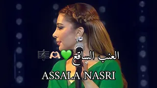 العنب الساقع اصالة نصري الأردن 