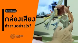 หากสายเสียงอัมพาตหรือไม่สามารถปิดได้ จะมีผลต่อการใช้ชีวิตอย่างไร