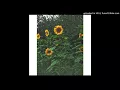 Stu Larsen - Skin & Bone