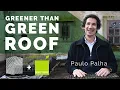 How we made the greenest green roof Interview with Paulo Palha of Neoturf