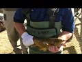 Liawenee Tasmania Trout Management