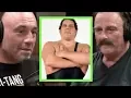 Download Lagu Joe Rogan - Jake The Snake on Andre the Giant