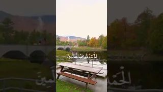 سورة الفاتحة بصوت جميل  سورة الفاتحة بصوت جميل