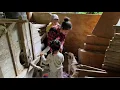 Download Lagu single mom: taking baby to visit dog when giving birth. harvesting, gardening, cooking, cleaning...