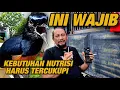 INI YANG BIKIN CEPAT ATAU TIDAKNYA BURUNG NAMPIL DI LAPANGAN LAGI