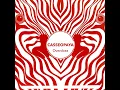 Overdose - Casseopaya