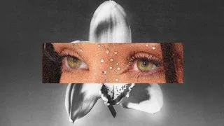 Misha Miller - Hey NaNaNa - Descarcă MP3