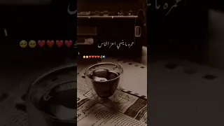 سلملي علي عنيك الاتنين دا لحد مانتقابل عامر منيب 