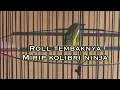 Download Lagu PENTIS RAJA GACOR BUAT MASTERAN MURAI \u0026 CAK IJO.