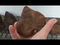 Fire Cracked Rock and fired chert I believe FCR Native American stone artifacts