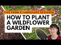 Download Lagu How to start a wildflower garden 💐 Advice from a landscape designer