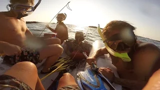 SPEARFISHING ISLAND LIFE