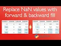 Replace NaN values in pandas DataFrame with forward backward fill