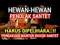 Download Lagu HARUS DIPELIHARA !! 5 HEWAN PENOLAK SIHIR DAN SANTET YANG SANGAT AMPUH, PENGAKUAN MANTAN DUKUN