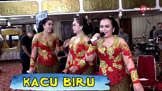 Download Ayu tur Pinter KACU BIRU KOPLO JAWA Voc. TRIO JAPESS Campursari CANDRA PESONA JAKARTA MP3