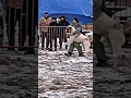 Download Lagu Most Danger Dog Fight ⚡🐕‍🦺 #dogaggression #Dogfight #kangal