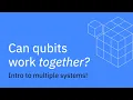 Multiple Systems Understanding Quantum Information Computation Lesson 02
