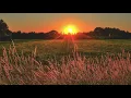 Lagu SONIDO DEL AMANECER EN EL CAMPO - CANTO DE LAS AVES - SONIDOS DE LA NATURALEZA - RELAX- HD (1 HORA)