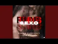 Download Lagu S.E.X.O. (Javi Webs Remix)