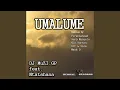 Download Lagu Umalume (feat. Mr Ntatshana) (Art \u0026 Sole Remix)