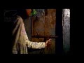 Kiranya - Protonema