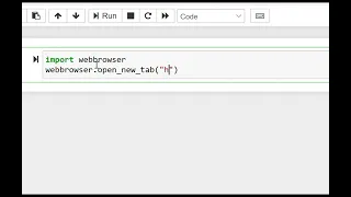 python script to open URL