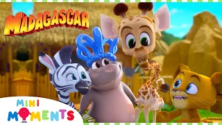 lets get this party started madagascar a little wild compilation mini moments