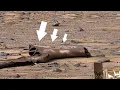 Download Lagu NASA's Perseverance Rover maakt verbluffende beelden | NASA legt schokkende videobeelden vast van...