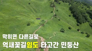 차로 최대한 가까이 가려고 한 민둥산, 꼭 가봐야 할 초록 억새의 장관 썸네일