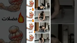 تمارين الذراع الباي والتراي بدون معدات Short 