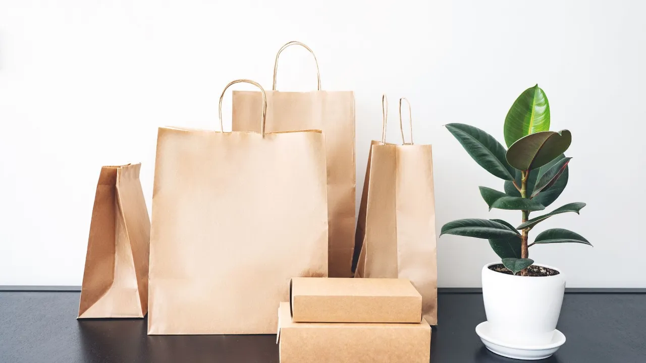 World Paper Bag Day (July 12): Why We Celebrate Eco-Friendly Alternatives to Plastic Bags