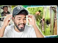 Download Lagu කෙහෙල්  ගහත් එක්කමයි ඇල්ලුවෙ එහෙනම් පත්මෙ..🤣 | GazTa