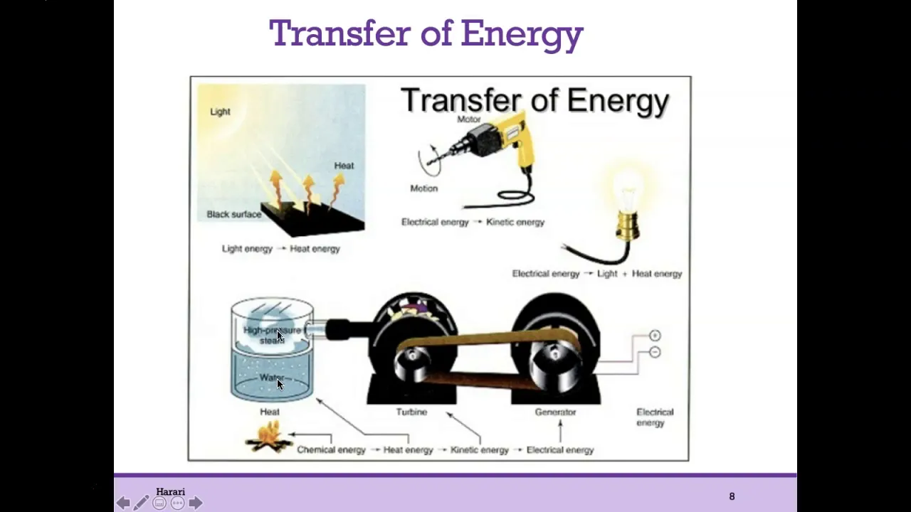BIO1 Online | Chapter 4: Energy of Life