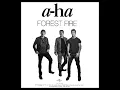 Download Lagu A-ha - Forest fire (Extended remix )