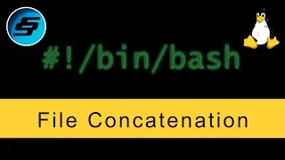 File Concatenation cat - Bash Scripting