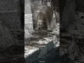 Zoochosis in Captivity