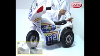                                دندنها
