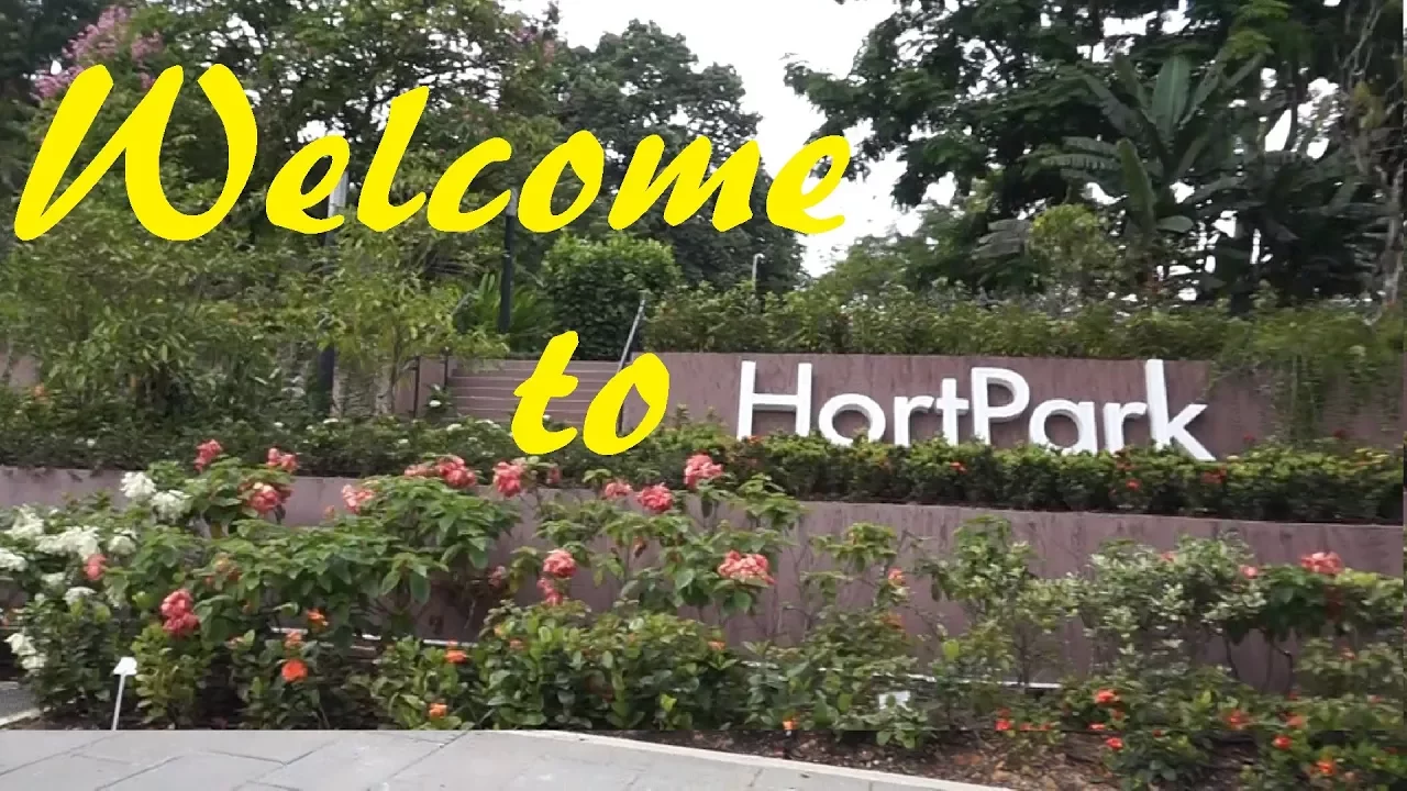 GettingLost Adventures : Hortpark. A park along the Southern Ridges. Part 1