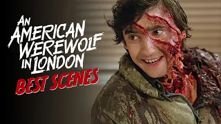 an american werewolf in londons best scenes