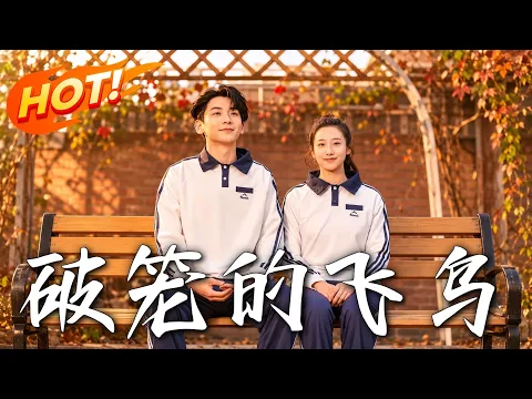 Completed AI Drama Collection: Love & Comebacks Episode 51