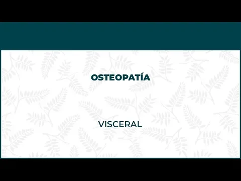 Osteopatía Visceral - FisioClinics Bilbao, Bilbo