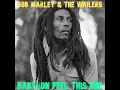 Lagu Bob Marley \u0026 The Wailers - Babylon Feel This One [Revised]