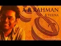 Download Lagu Veena \u0026 A.R.Rahman (Indian String Musical Instrument)