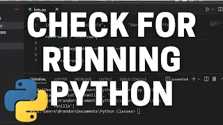 How to Check for Other Running Python Scripts in Python - Python Process Tutorial