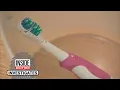 What s Living on Your Toothbrush