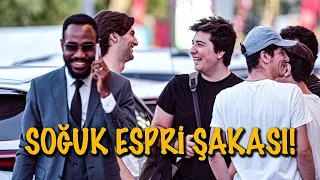 Karınca Koluma Düşerse Ne Olur? Şaşırtıcı Cevaplar!