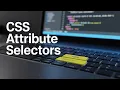 CSS Attribute Selectors The Secret You Must Know CSS Tutorial In Hindi