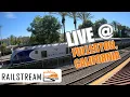 LIVE Rail Cam - Fullerton California BNSF Mainline Amtrak Metrolink RailStream