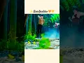 Download Lagu Your Sunshine 💛 Cdrama 💝#kdrama#romanticstatus#hindisong#beautiful#newpost#trendingvideo